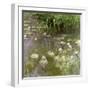 Waterlilies at Midday, 1918-Claude Monet-Framed Giclee Print