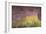 Waterlilies at Sunset, 1915-26-Claude Monet-Framed Giclee Print