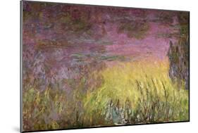 Waterlilies at Sunset, 1915-26-Claude Monet-Mounted Premium Giclee Print