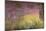 Waterlilies at Sunset, 1915-26-Claude Monet-Mounted Premium Giclee Print