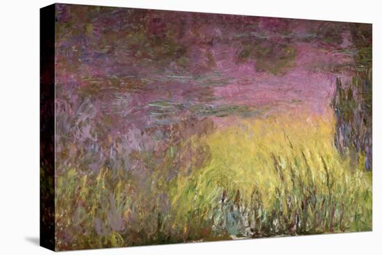 Waterlilies at Sunset, 1915-26-Claude Monet-Stretched Canvas