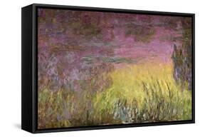 Waterlilies at Sunset, 1915-26-Claude Monet-Framed Stretched Canvas