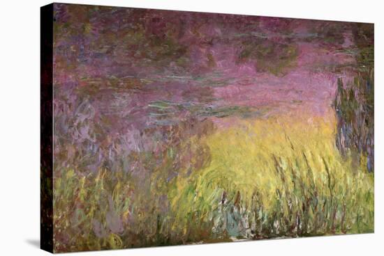 Waterlilies at Sunset, 1915-26-Claude Monet-Stretched Canvas