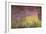 Waterlilies at Sunset, 1915-26-Claude Monet-Framed Giclee Print