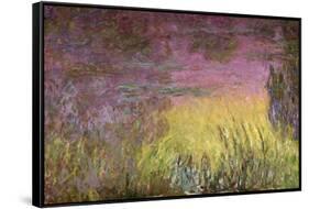 Waterlilies at Sunset, 1915-26-Claude Monet-Framed Stretched Canvas