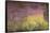 Waterlilies at Sunset, 1915-26-Claude Monet-Framed Stretched Canvas