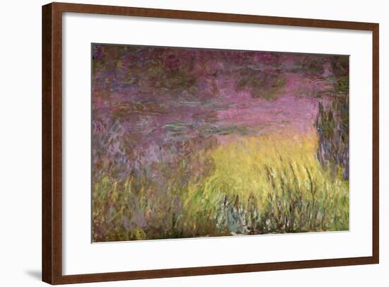 Waterlilies at Sunset, 1915-26-Claude Monet-Framed Giclee Print