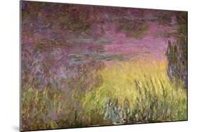 Waterlilies at Sunset, 1915-26-Claude Monet-Mounted Giclee Print