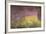 Waterlilies at Sunset, 1915-26-Claude Monet-Framed Giclee Print