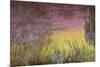 Waterlilies at Sunset, 1915-26-Claude Monet-Mounted Premium Giclee Print