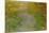 Waterlilies, circa 1919-Claude Monet-Mounted Giclee Print