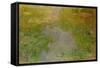 Waterlilies, circa 1919-Claude Monet-Framed Stretched Canvas