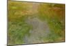 Waterlilies, circa 1919-Claude Monet-Mounted Giclee Print