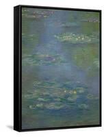 Waterlilies, Detail, 1903-Claude Monet-Framed Stretched Canvas