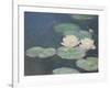 Waterlilies, Evening; Detail-Claude Monet-Framed Giclee Print