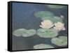 Waterlilies, Evening; Detail-Claude Monet-Framed Stretched Canvas