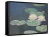 Waterlilies, Evening; Detail-Claude Monet-Framed Stretched Canvas