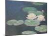 Waterlilies, Evening; Detail-Claude Monet-Mounted Giclee Print