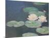 Waterlilies, Evening; Detail-Claude Monet-Mounted Giclee Print