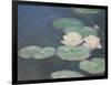 Waterlilies, Evening; Detail-Claude Monet-Framed Giclee Print