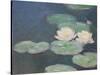 Waterlilies, Evening; Detail-Claude Monet-Stretched Canvas