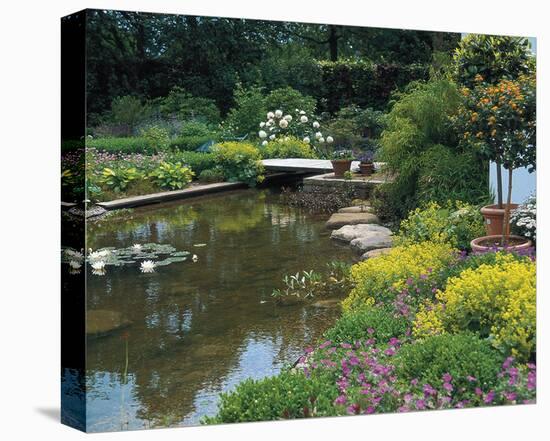 Waterlilies Flower Garden Pond-null-Stretched Canvas