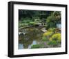 Waterlilies Flower Garden Pond-null-Framed Art Print