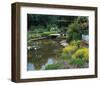 Waterlilies Flower Garden Pond-null-Framed Art Print