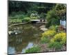 Waterlilies Flower Garden Pond-null-Mounted Art Print