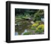 Waterlilies Flower Garden Pond-null-Framed Art Print