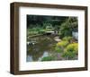 Waterlilies Flower Garden Pond-null-Framed Art Print