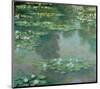 Waterlilies I 1905-Claude Monet-Mounted Art Print