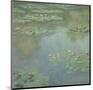 Waterlilies II 1907-Claude Monet-Mounted Art Print