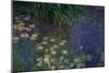 Waterlilies (Les Nympheas), Study of the Morning Water-Claude Monet-Mounted Premium Giclee Print