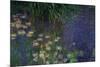 Waterlilies (Les Nympheas), Study of the Morning Water-Claude Monet-Mounted Giclee Print