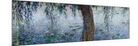 Waterlilies: Morning with Weeping Willows, Detail of the Right Section, 1915-26-Claude Monet-Mounted Giclee Print