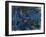 Waterlilies with Reflections of a Willow Tree, 1916-19-Claude Monet-Framed Giclee Print