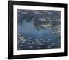 Waterlilies-Claude Monet-Framed Art Print