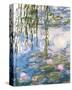 Waterlilies-Claude Monet-Stretched Canvas