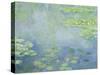 Waterlilies-Claude Monet-Stretched Canvas