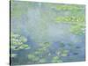 Waterlilies-Claude Monet-Stretched Canvas