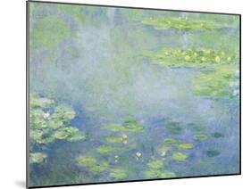 Waterlilies-Claude Monet-Mounted Giclee Print