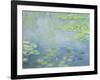 Waterlilies-Claude Monet-Framed Giclee Print