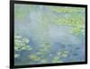 Waterlilies-Claude Monet-Framed Giclee Print