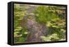 Waterlilies-Claude Monet-Framed Stretched Canvas