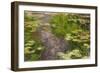 Waterlilies-Claude Monet-Framed Giclee Print