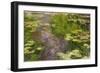 Waterlilies-Claude Monet-Framed Giclee Print