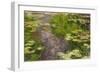 Waterlilies-Claude Monet-Framed Giclee Print