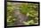 Waterlilies-Claude Monet-Framed Giclee Print