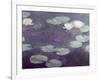 Waterlilies-Claude Monet-Framed Giclee Print